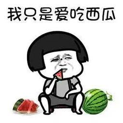 吃瓜娱乐圈花钱,揭秘明星花销背后的秘密